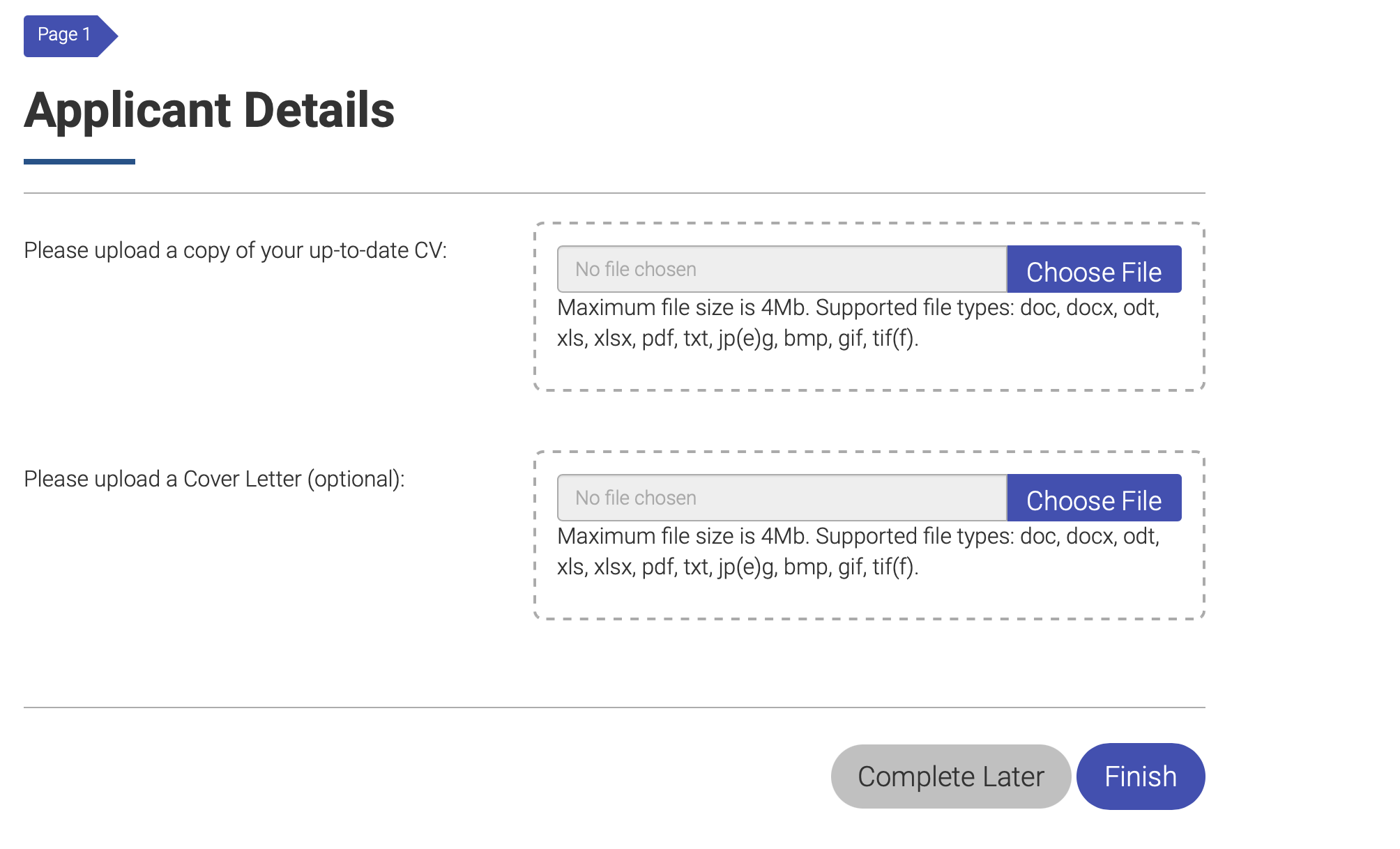 Application Form (Template)