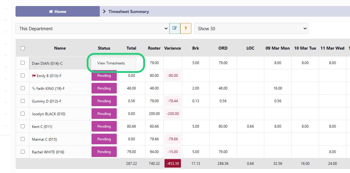 Timesheet Summary Module Overview